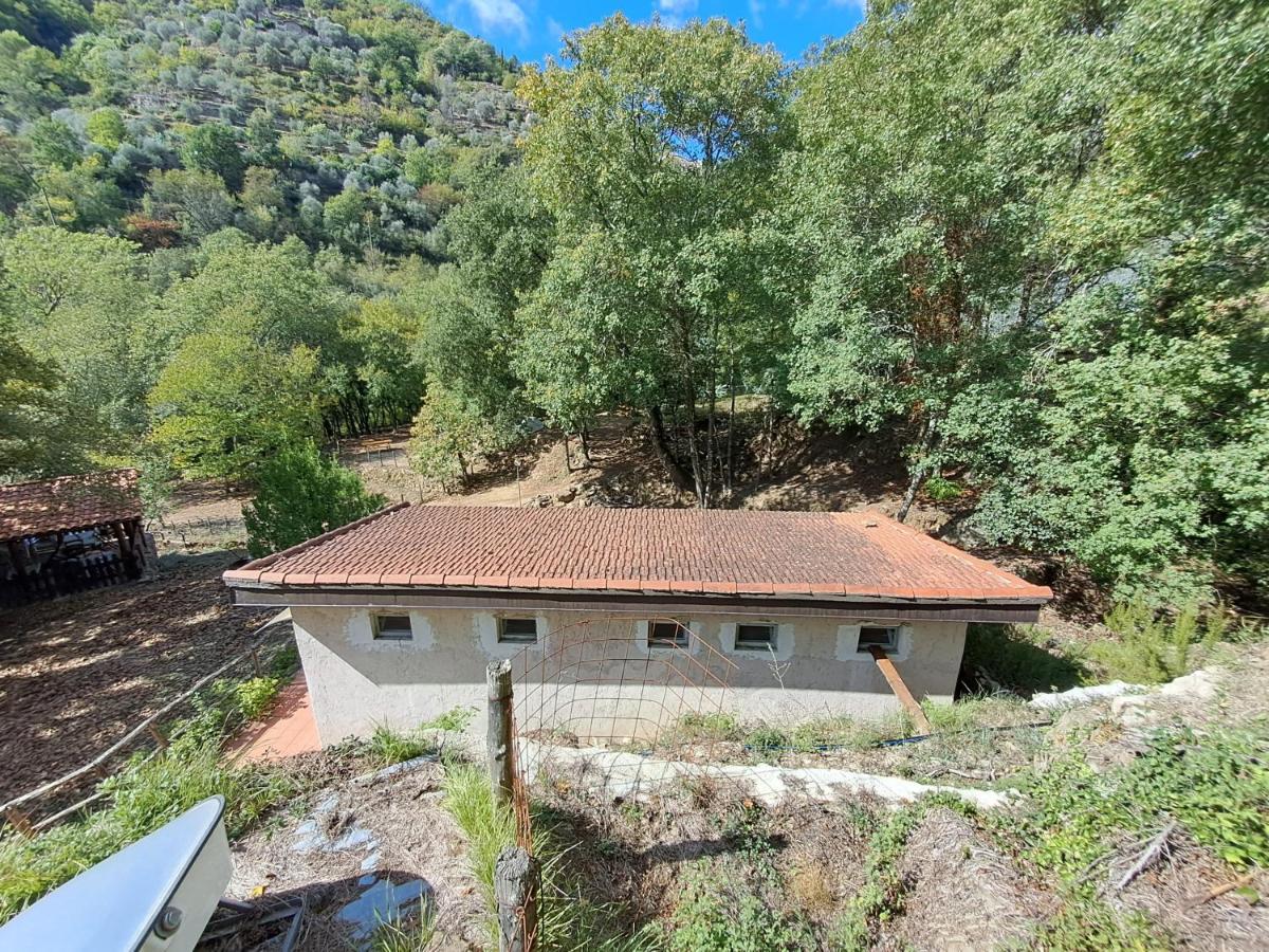 Agricamping Ponteraggio N.1 Dolceacqua Exterior foto