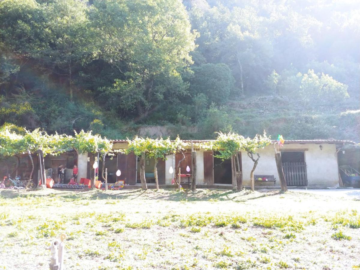Agricamping Ponteraggio N.1 Dolceacqua Exterior foto