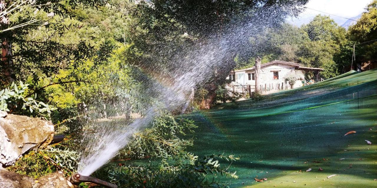 Agricamping Ponteraggio N.1 Dolceacqua Exterior foto